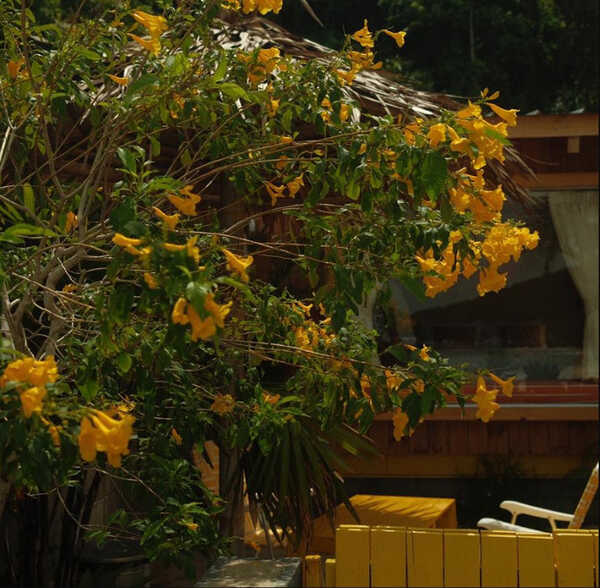 The Beach Road cabin kohlarn ที่พักเกาะล้าน