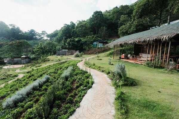 Mori Natural Farm
