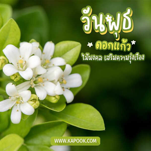 สวัสดีวันพุธ