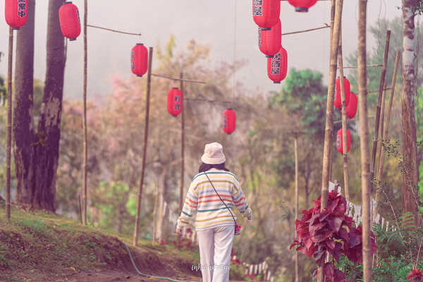 ลานกางเต็นท์เก๊าไฮเชียงใหม่