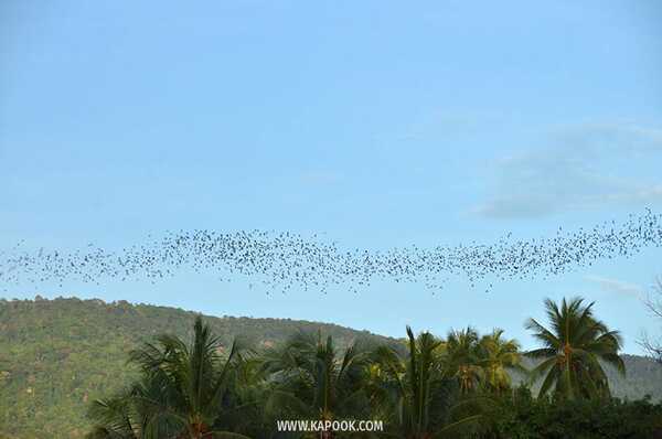 เที่ยวพิษณุโลก 