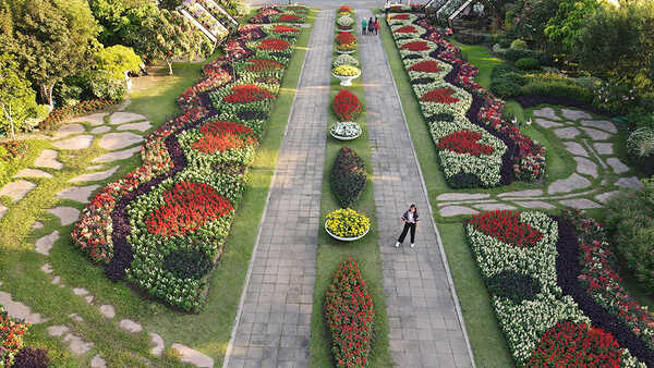 เทศกาลชมสวน 2563 อุทยานหลวงราชพฤกษ์