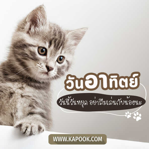 วันอาทิตย์ วันนี้วันหยุด อย่าลืมเล่นกับน้องนะ