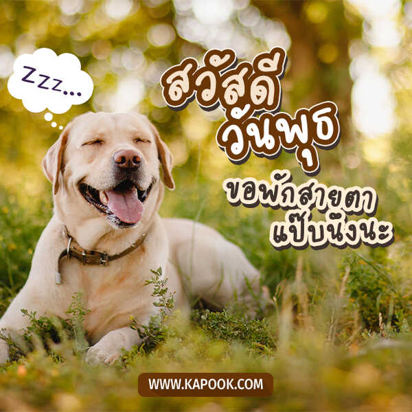 สวัสดีวันพุธ