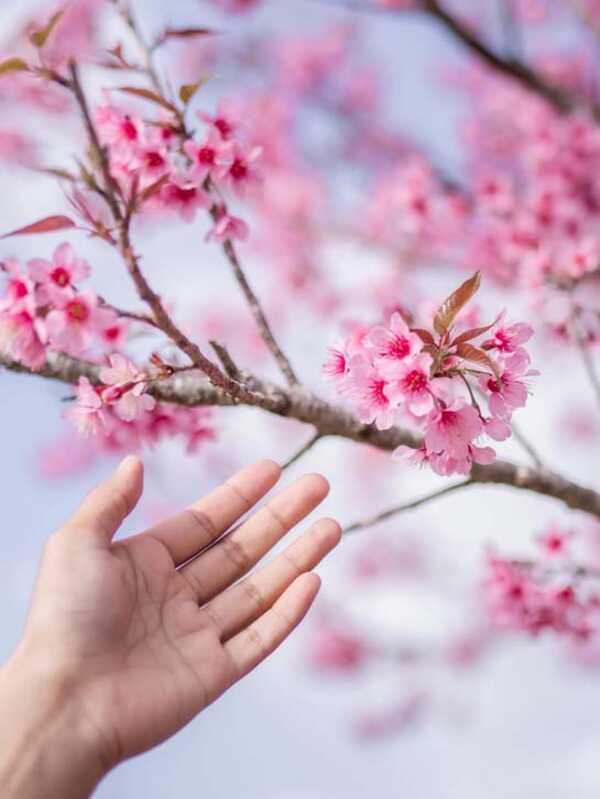 ภูลมโล
