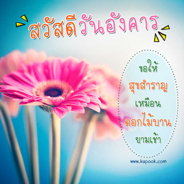 สวัสดีวันอังคาร ขอให้สุขสำราญเหมือนดอกไม้บานยามเช้า