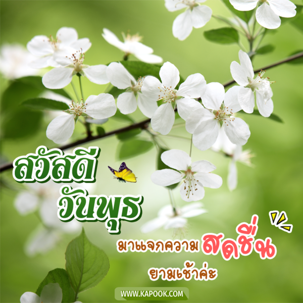 สวัสดีวันพุธ มาแจกความสดชื่น ยามเช้าค่ะ