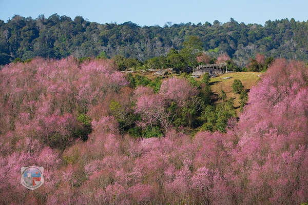 ภูลมโล 2569