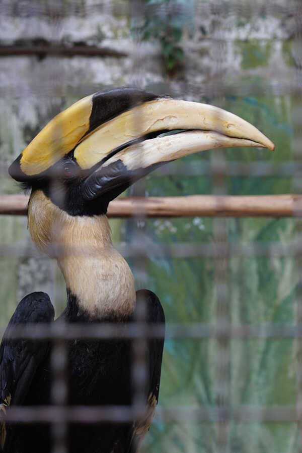 สวนสัตว์พาต้า