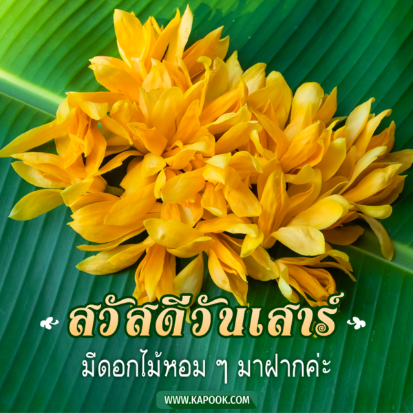 สวัสดีวันเสาร์ มีดอกไม้หอม ๆ มาฝากค่ะ