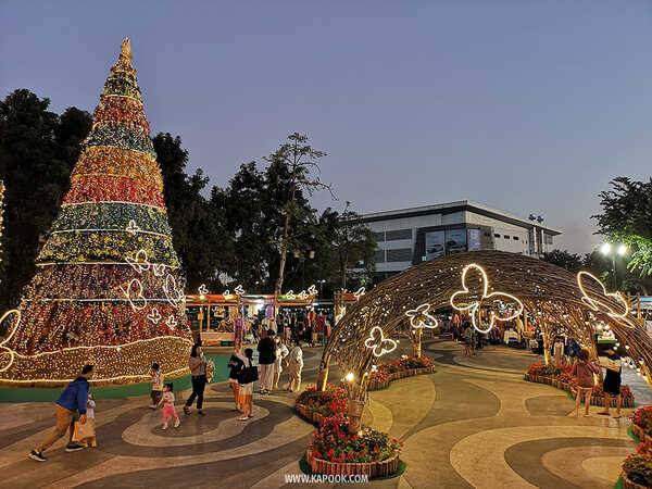 ดูไฟคริสต์มาส