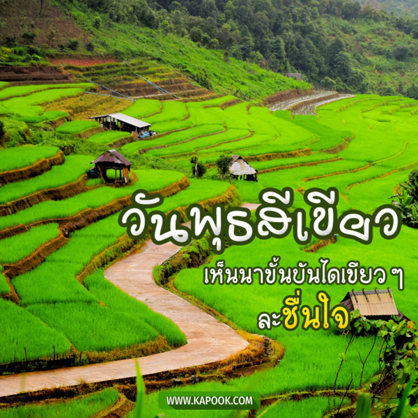 สวัสดีวันพุธ เห็นนาขั้นบันไดเขียว ๆ ละชื่นใจ