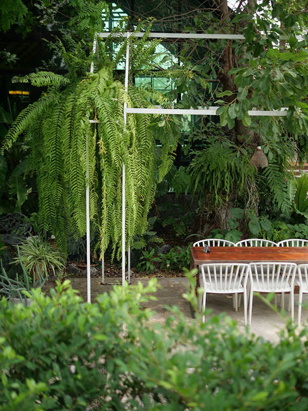 คาเฟ่สิงห์บุรี