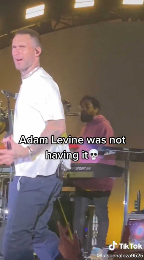 อดัม เลอวีน 