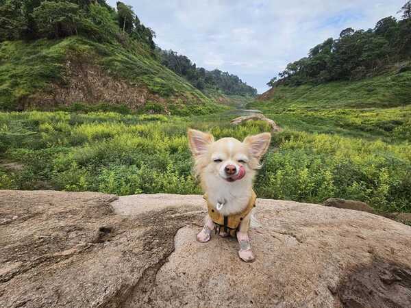 เขาช่องลม