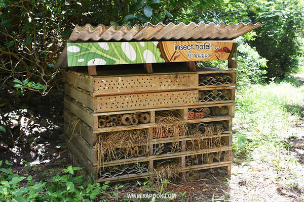 ป่าวังจันทร์