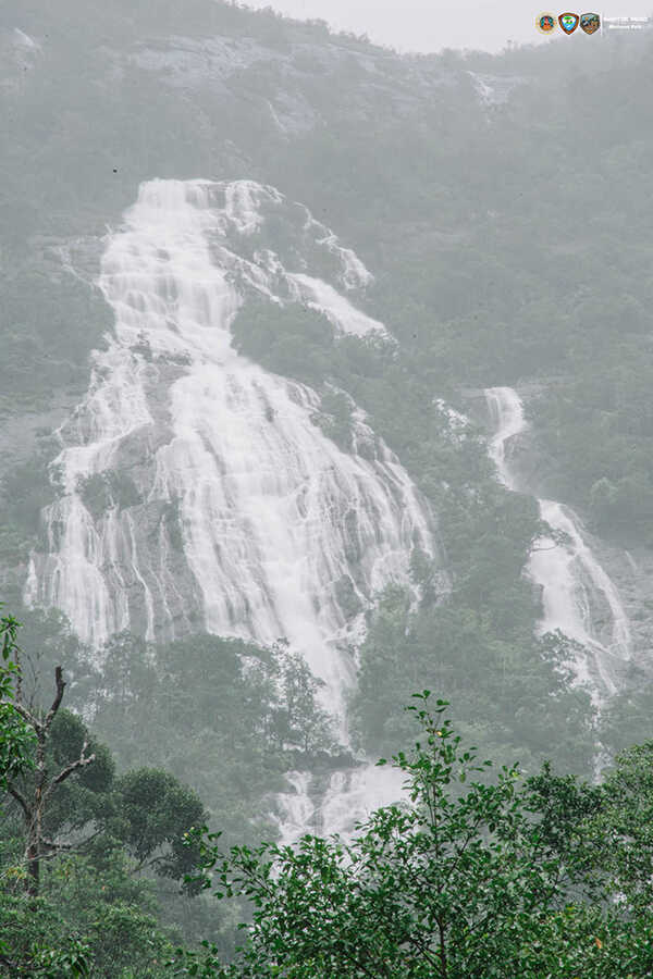 อุทยานแห่งชาติน้ำตกหงาว