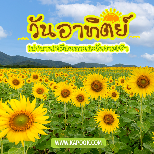 รูปสวัสดีวันอาทิตย์