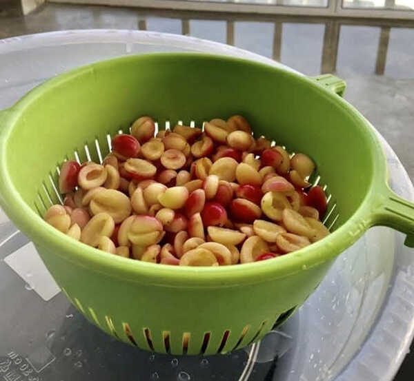 มะม่วงหาวมะนาวโห่แช่อิ่ม เมนูแช่อิ่ม ผลไม้แช่อิ่ม สูตรขนม