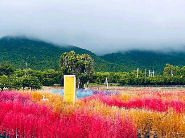 Move To Mountain Garden มุมถ่ายรูป