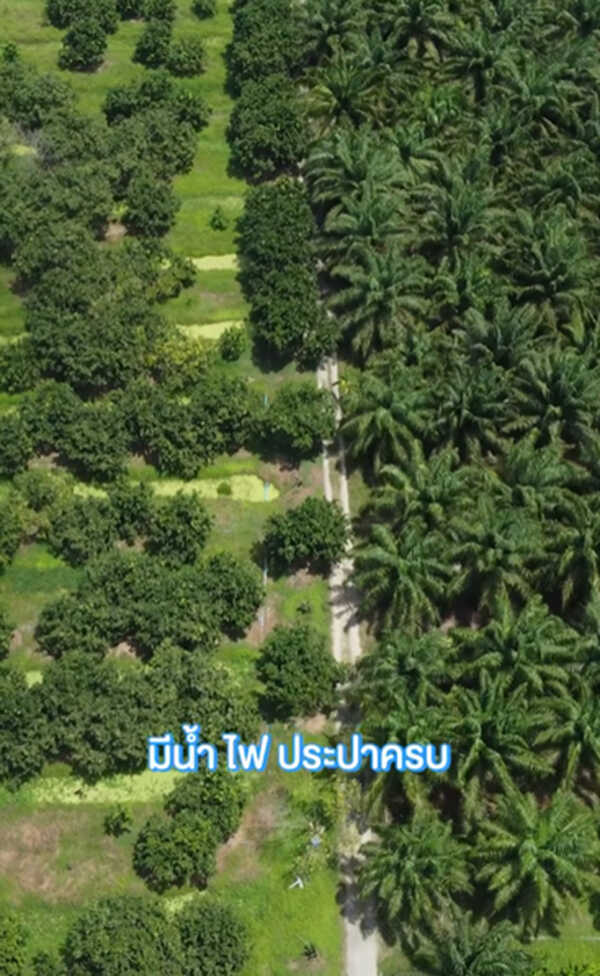 เจมส์ เรืองศักดิ์ ประกาศขายสวน