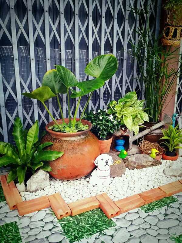 จัดสวนหน้าบ้านตึกแถว