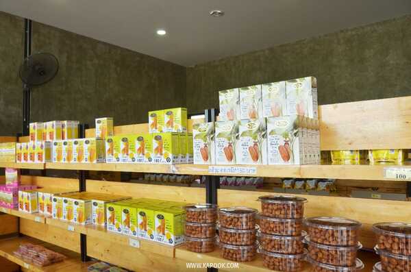 เที่ยวพิษณุโลก 