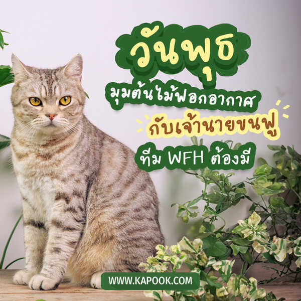 สวัสดีวันพุธ