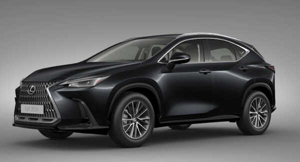 Lexus NX 2022