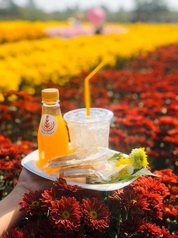 สวนดอกไม้พ่อหลวงชัชร์ เชียงใหม่