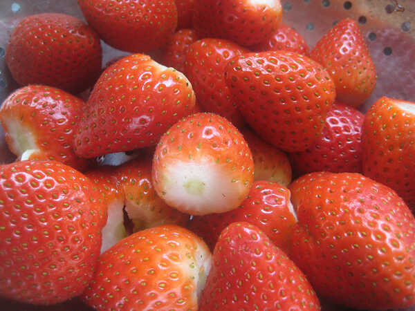 สตรอว์เบอร์รี พานาคอตต้า เมนูของหวาน พานาคอตต้า สูตรขนม