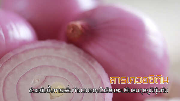 สติ๊กเกอร์หัวหอม Happy Noz