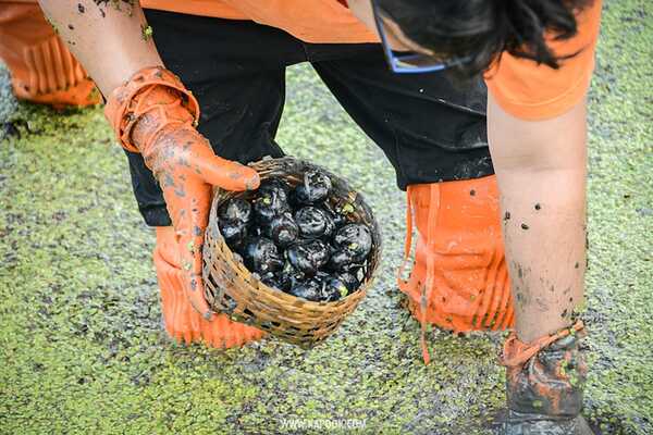เที่ยวสุพรรณบุรี