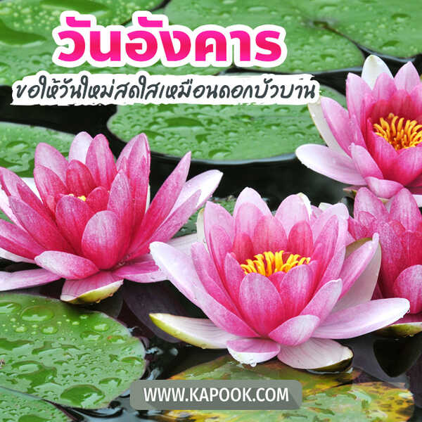 สวัสดีวันอังคาร