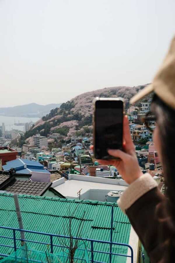 Gamcheon Culture Village
