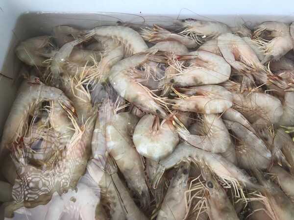 กุ้งราดซอสมะขาม