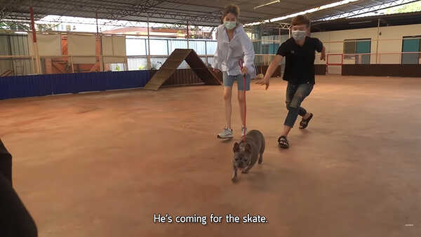 มาร์กี้ ราศรี ป๊อก ภัสสรกรณ์