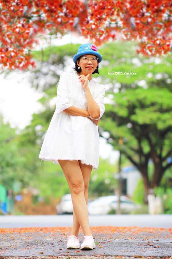 ดอกหางนกยูงบานสะพรั่ง