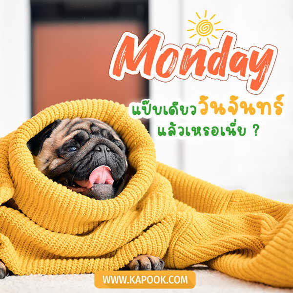 Monday แป๊บเดียววันจันทร์ แล้วเหรอเนี่ย ?