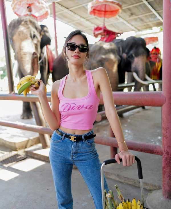 น้ำตาล ชลิตา