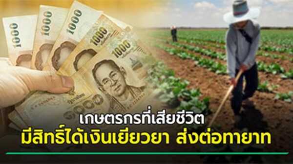 เยียวยาเกษตรกร