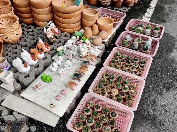 ตลาดต้นไม้