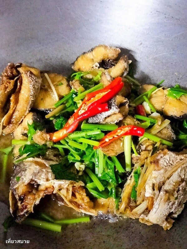 ปลาช่อนผัดขึ้นฉ่ายใส่ขิง เมนูปลาช่อน เมนูผัดขึ้นฉ่าย เมนูปลา สูตรอาหาร อาหารไทย
