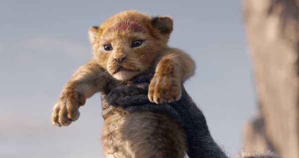 the lion king 2019