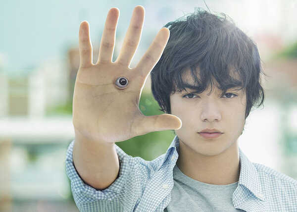 โชตะ โซเมะทานิ