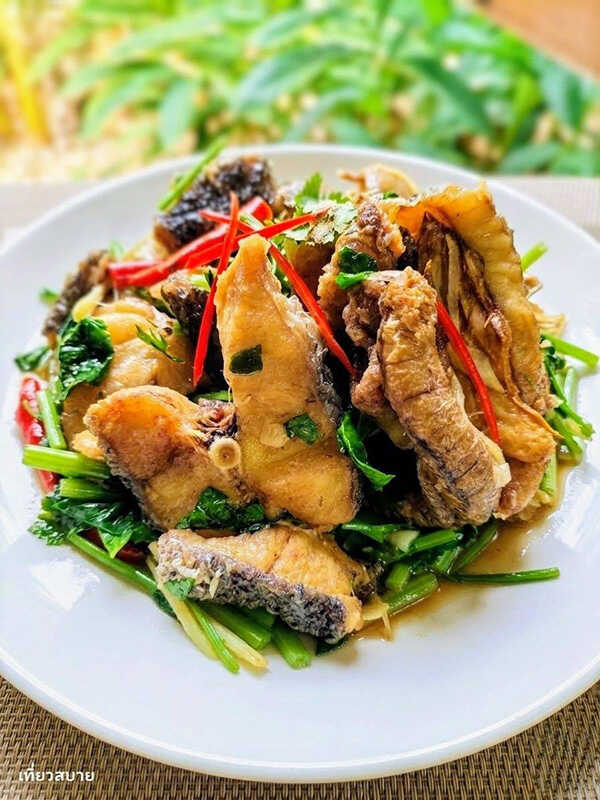 ปลาช่อนผัดขึ้นฉ่ายใส่ขิง เมนูปลาช่อน เมนูผัดขึ้นฉ่าย เมนูปลา สูตรอาหาร อาหารไทย