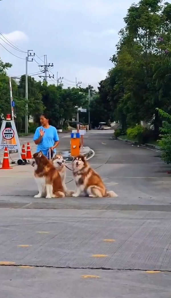 สุนารี พาหมาไปเดินเล่น แต่เจอแซะอวดรวย