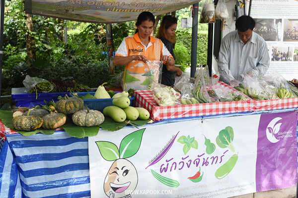 ป่าวังจันทร์