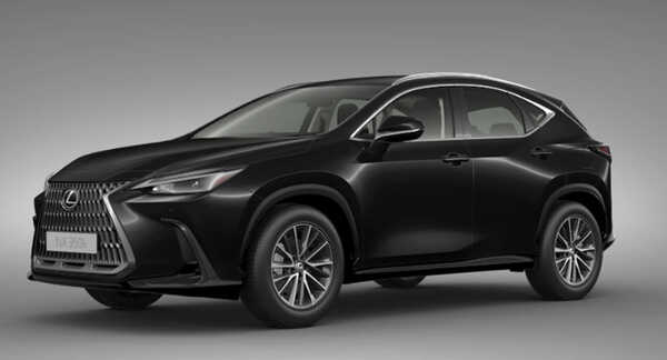 Lexus NX 2022