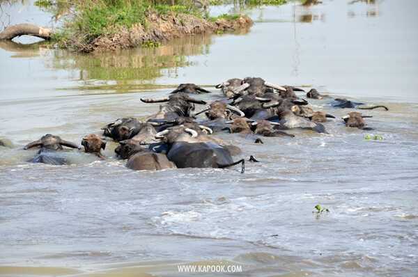 เที่ยวเชียงราย